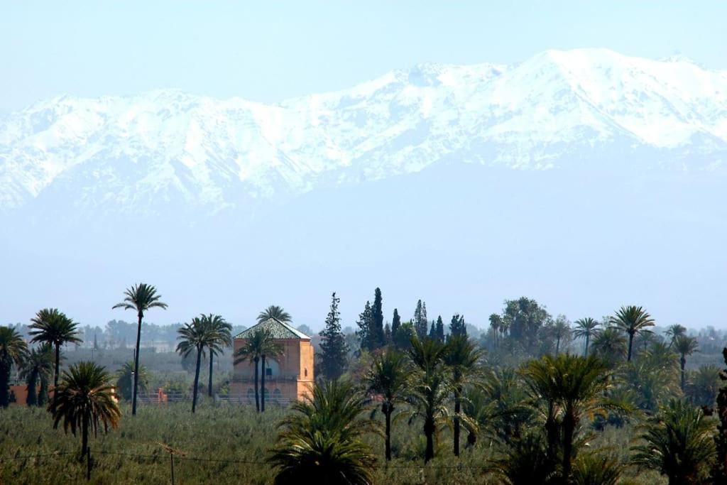 Magnifique Appartement Marrakech Marrakesh Eksteriør billede